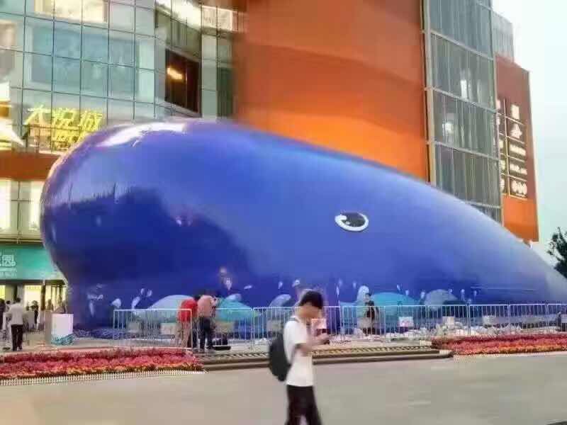南京大藍鯨 百萬海洋球與充氣城堡，打造藍鯨市集童話盛宴